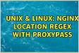 Nginx location proxypass requesturi